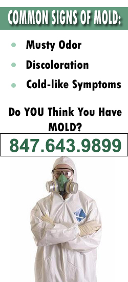 Skokie Mold Remediation Contractor
